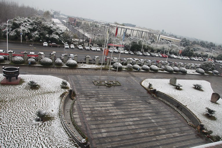 一場雪，才知道您有多美！